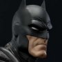 Batman Advanced Suit (Josh Nizzi)