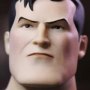 Batman Animated Body