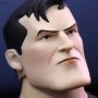 Batman Animated Body