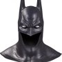 DC Comics Gallery: Batman Arkham Asylum Cowl