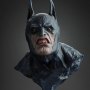 Batman Bloodstorm Premium