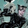 Batman & Catwoman Getaway Art Print (Terry & Rachel Dodson)