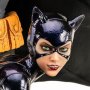 Batman & Catwoman Reunion