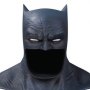 DC Comics Gallery: Batman Dark Knight Returns Cowl