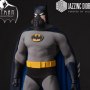 Batman Realistic Body