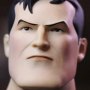 Batman Realistic Body