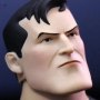 Batman Realistic Body
