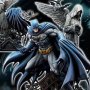 Batman Rebirth Edition Blue