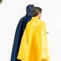Batman & Robin