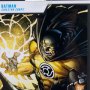 Batman Sinestro Corps Gold Label