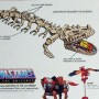 Battle Bones (produkce)