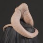 Bib Fortuna (PGM 2017)