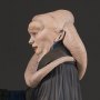 Bib Fortuna (PGM 2017)