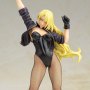 Black Canary 2nd Edition