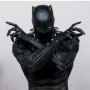 Black Panther (Marvel Knights #4)