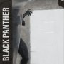 Black Panther (Marvel Knights #4)