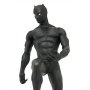 Marvel: Black Panther Premier Collection