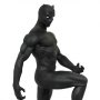Black Panther Premier Collection