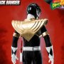 Dragon Shield Black Ranger FigZero