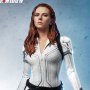 Black Widow Snow Suit