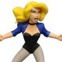 Justice League Animated: Black Canary