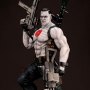 Valiant Comics: Bloodshot