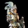 Blue Shield Soldier Deluxe Builder Set