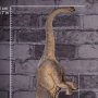 Brachiosaurus