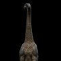 Brachiosaurus Icons