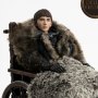 Bran Stark Deluxe