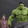 Avengers: Bruce Banner and Hulk (Regional Premium Edition)