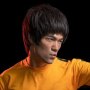 Bruce Lee: Bruce Lee Game Of Death
