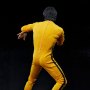 Bruce Lee 50th Anni Tribute