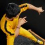 Bruce Lee 50th Anni Tribute