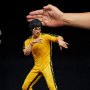 Bruce Lee 50th Anni Tribute