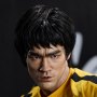 Bruce Lee 50th Anni Tribute Rooted Hair