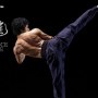 Bruce Lee 80th Anni Tribute