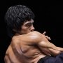 Bruce Lee 80th Anni Tribute