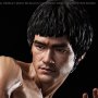 Bruce Lee 80th Anni Tribute