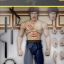 Bruce Lee Fighter Ultimates