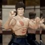 Bruce Lee Fighter Ultimates