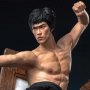 Bruce Lee Flying-Kick