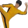 Bruce Lee: Bruce Lee Kicking