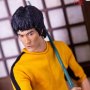 Bruce Lee (King Of Kung-Fu)