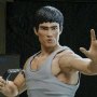 Bruce Lee Warrior Ultimates