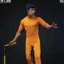 Bruce Lee 40th Anni Tribute (studio)