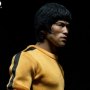 Bruce Lee 75th Anni