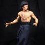 Bruce Lee: Bruce Lee Dragon Fighting