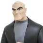 Batman Animated-Batman Beyond: Bruce Wayne