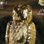 Bubo Chrome (Ray Harryhausen's 100th Anni)